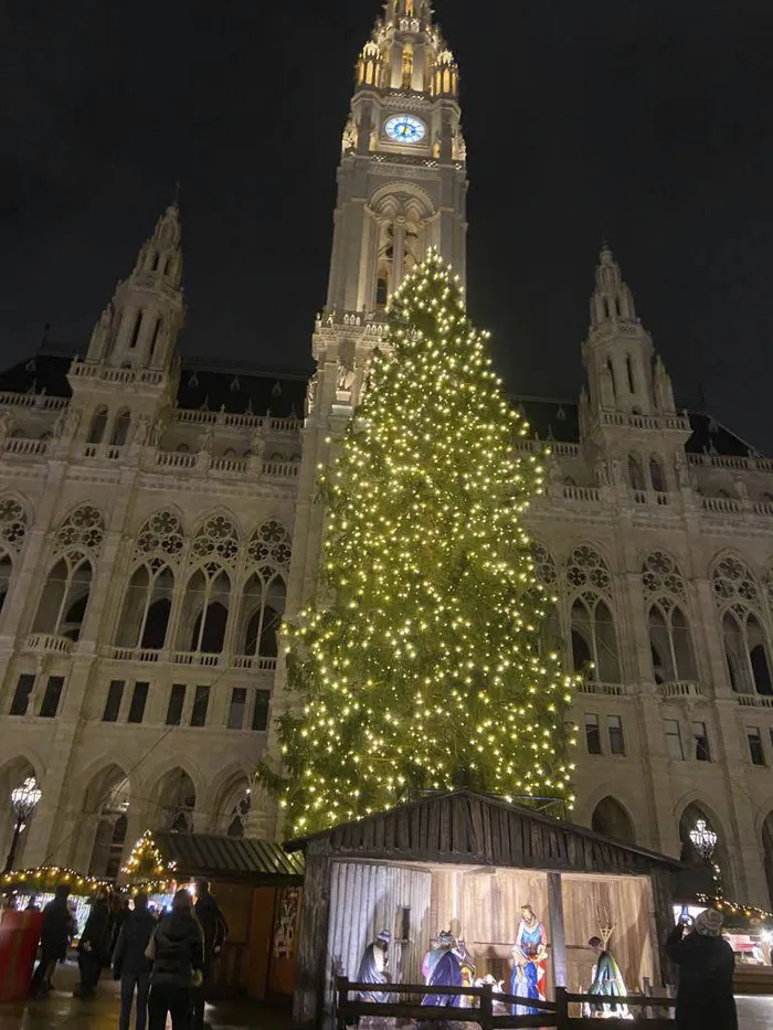 Vienna Christmas market with traditional decorations